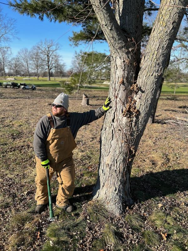 Photo - commentaire&nbsp;6.