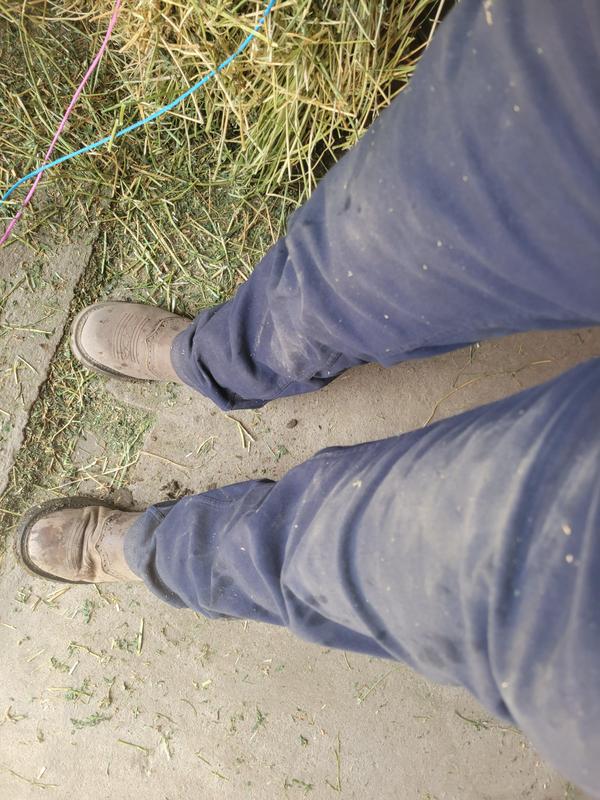 dust shows faster on the darker colors