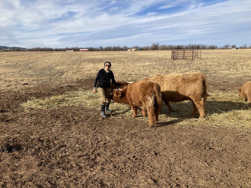 Vest, pants & gloves
