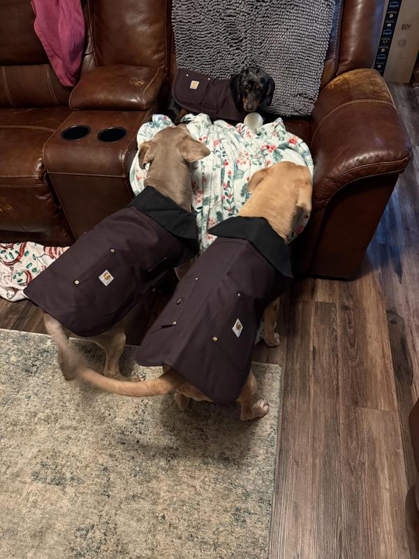 Perfect fit for all 3