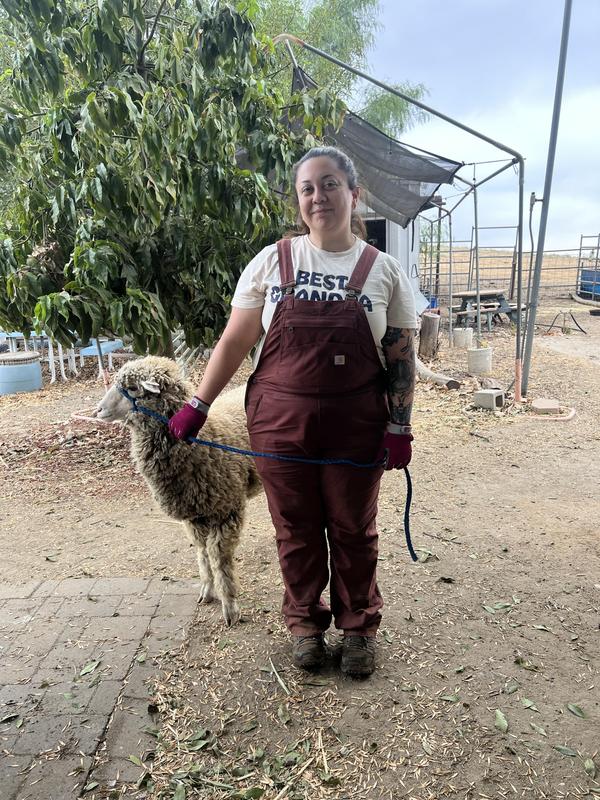 Photo submitted with review of product