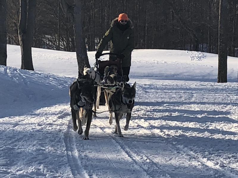 Certified Sled Dog Tough! These bibs and Carhartt Yukon parka to withstand more than just cold.
