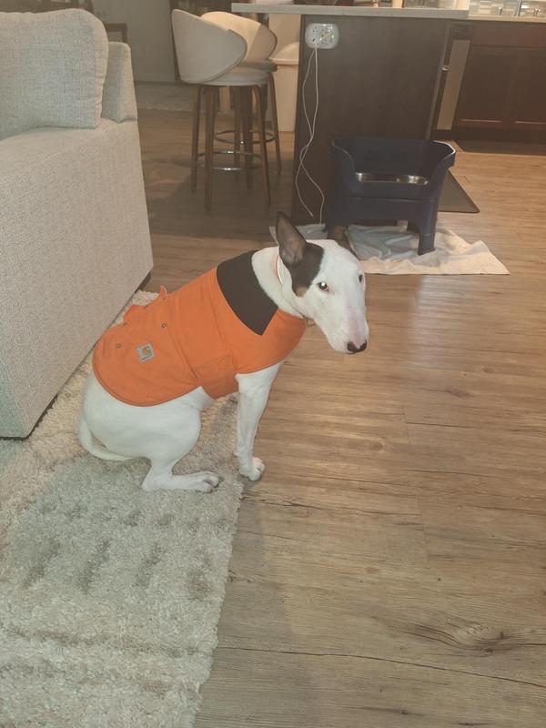 Her favorite coat