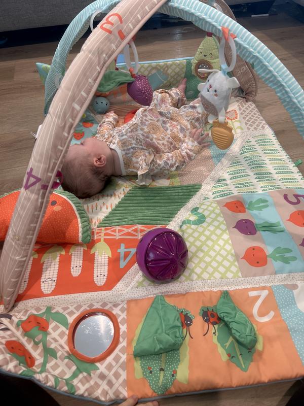 Review Thumbnail Image 0 315536402