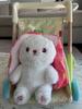 Customer review photo 11