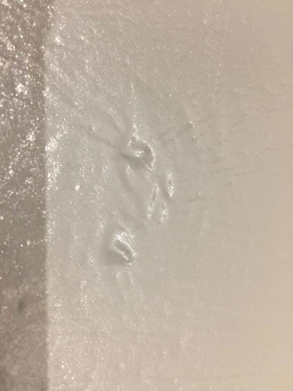 Photo submitted with review of product