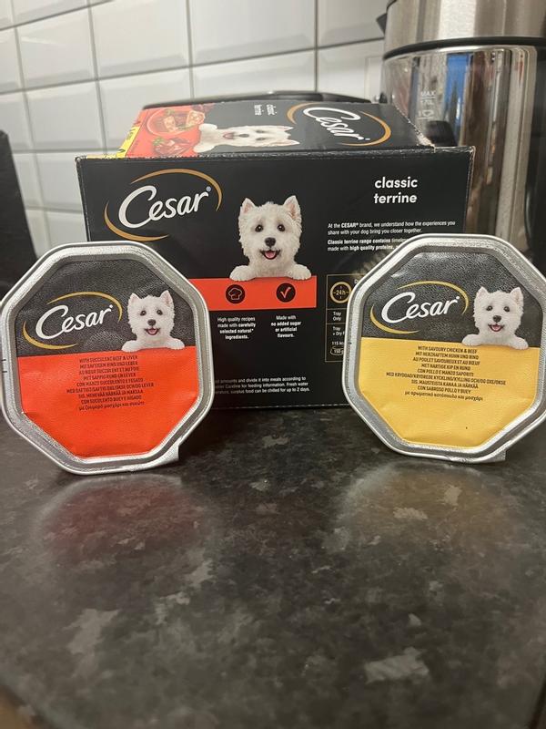 César Terrine for Dogs Multipack Classic - [Pack of 3