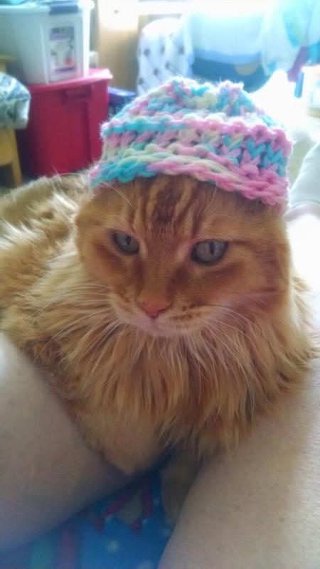 My hat he didn't care that I put it on his