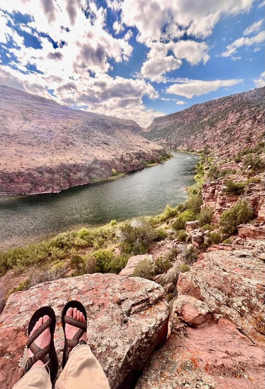 Review Thumbnail Image 4 361057544