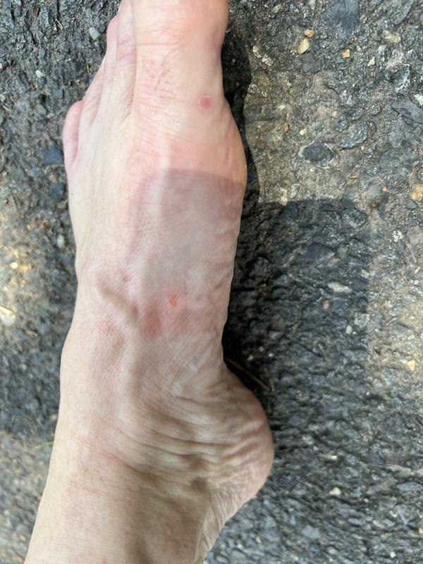 Photo submitted with review of product