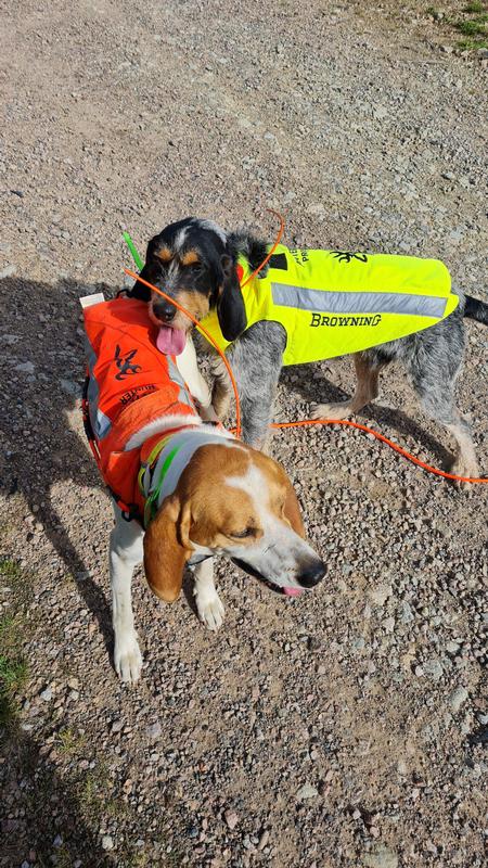 GILET POUR CHIEN PROTECT PRO JAUNE