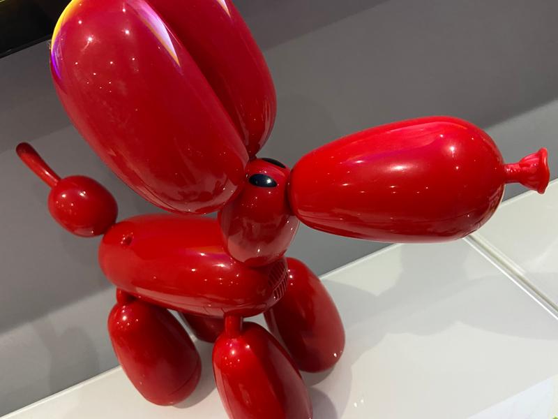 Squeakee the balloon dog!