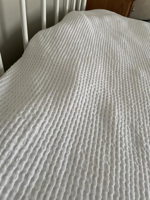 Review Thumbnail Image 0 242718311