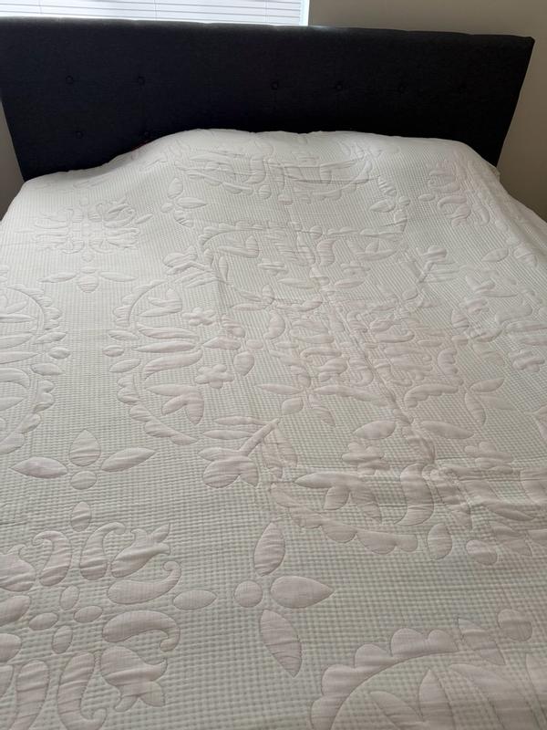 Review Thumbnail Image 2 353450642