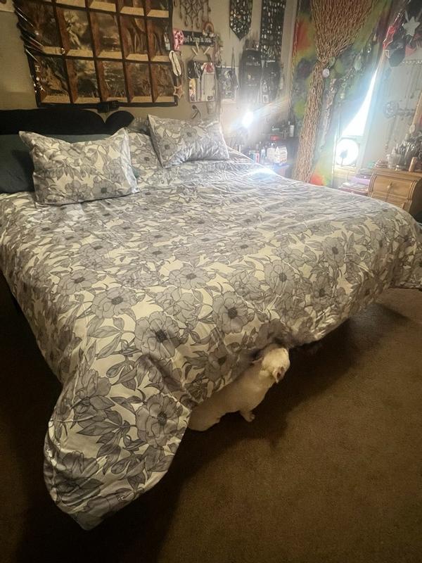 Review Thumbnail Image 2 379486253