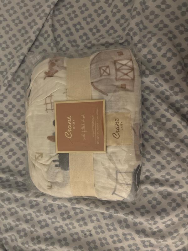 Review Thumbnail Image 0 361256491