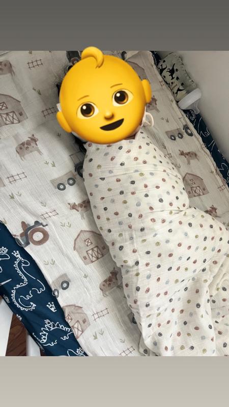 Review Thumbnail Image 1 365246300