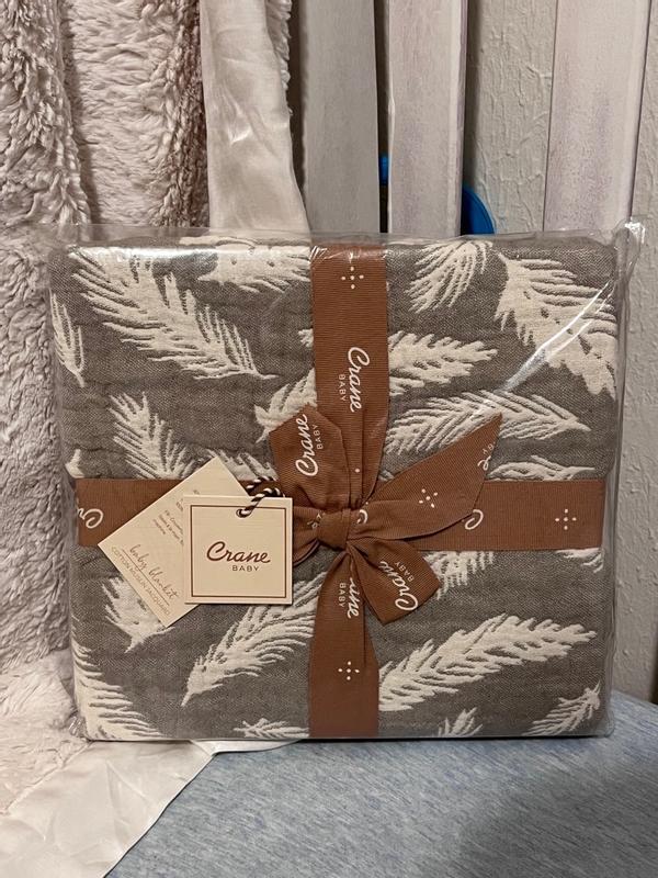 Review Thumbnail Image 0 308814775