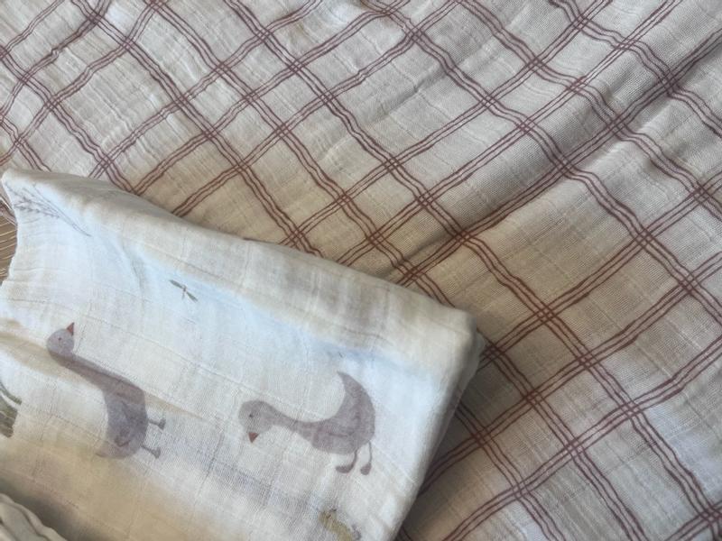 Review Thumbnail Image 0 368560010