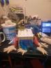 Customer review photo 1