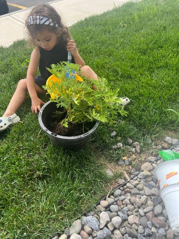 Photo submitted with review of product