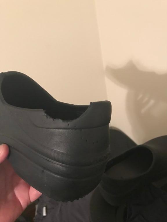 Photo submitted with review of product