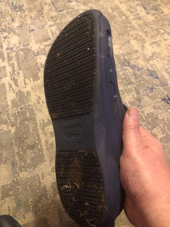 Photo submitted with review of product