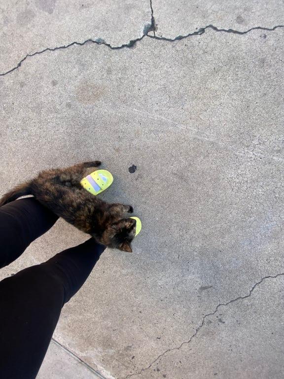 Photo submitted with review of product