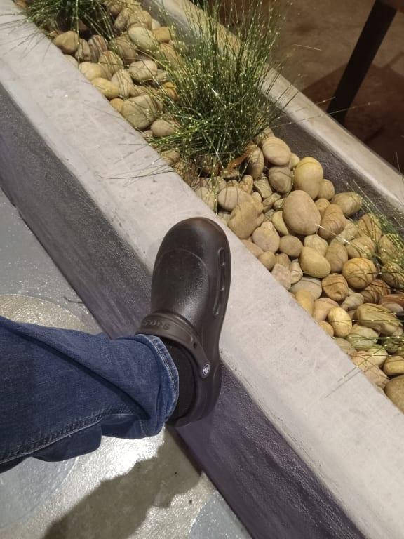 Photo submitted with review of product