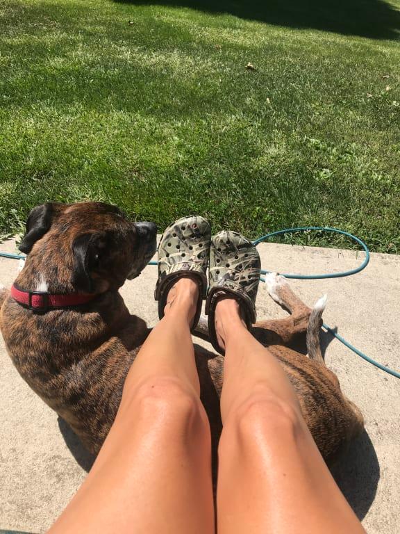 Photo submitted with review of product