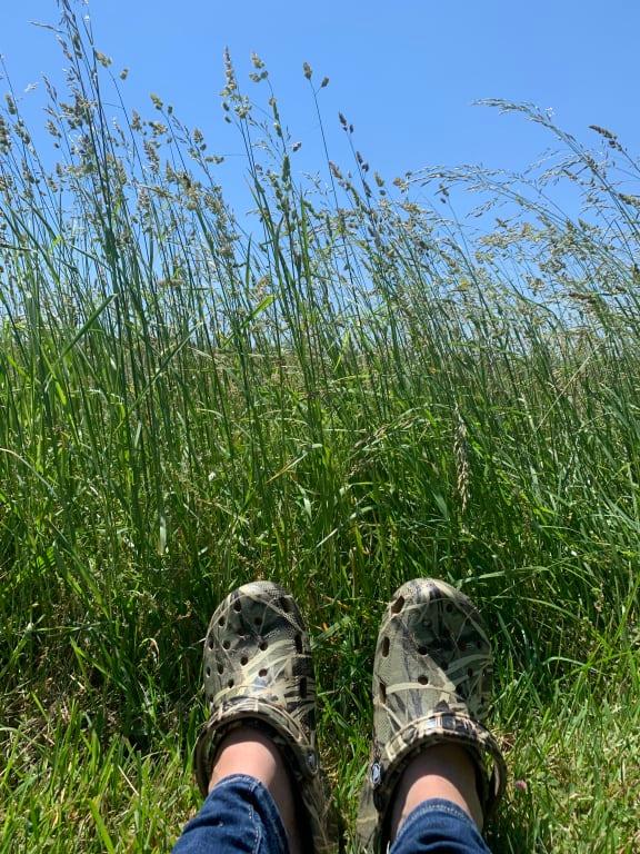 Photo submitted with review of product