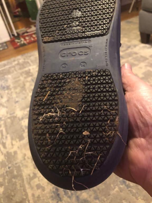 Photo submitted with review of product