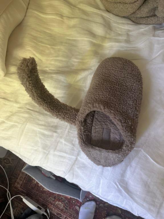 Photo submitted with review of product