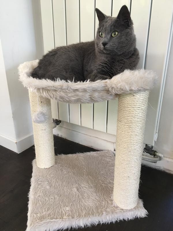 Arbre A Chat Baza Trixie Croquetteland