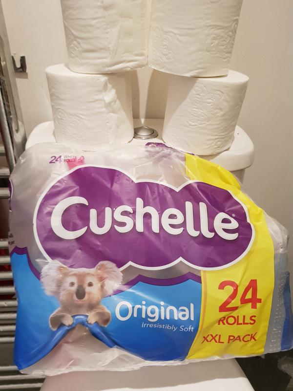 cushelle teddy