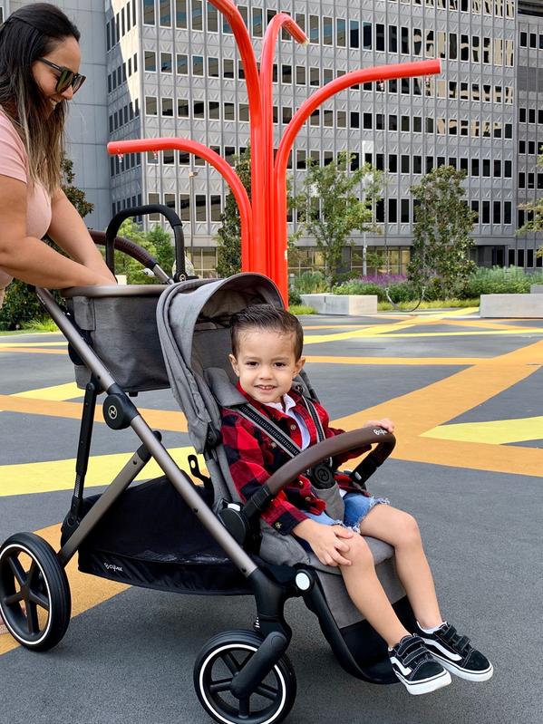 cybex gazelle double