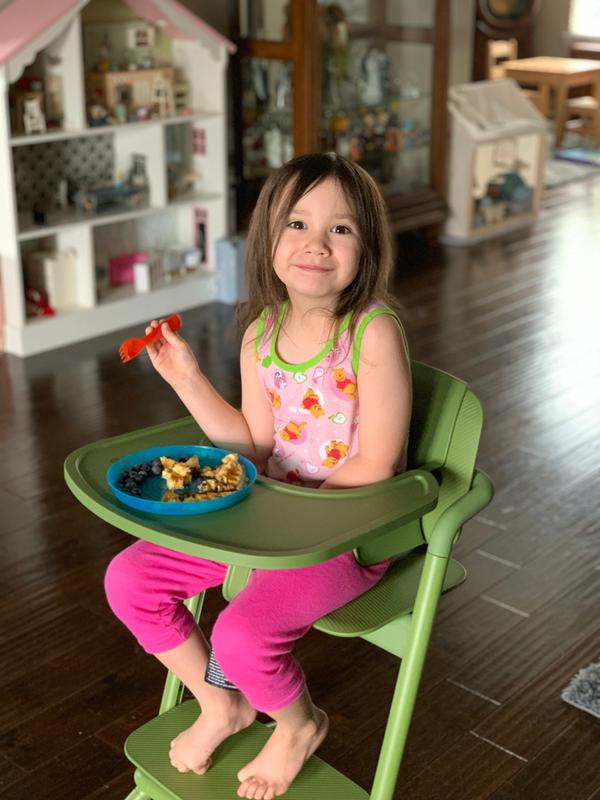 cybex global high chair