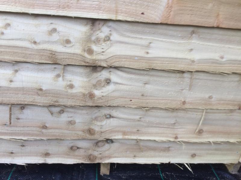 User generated review image 1