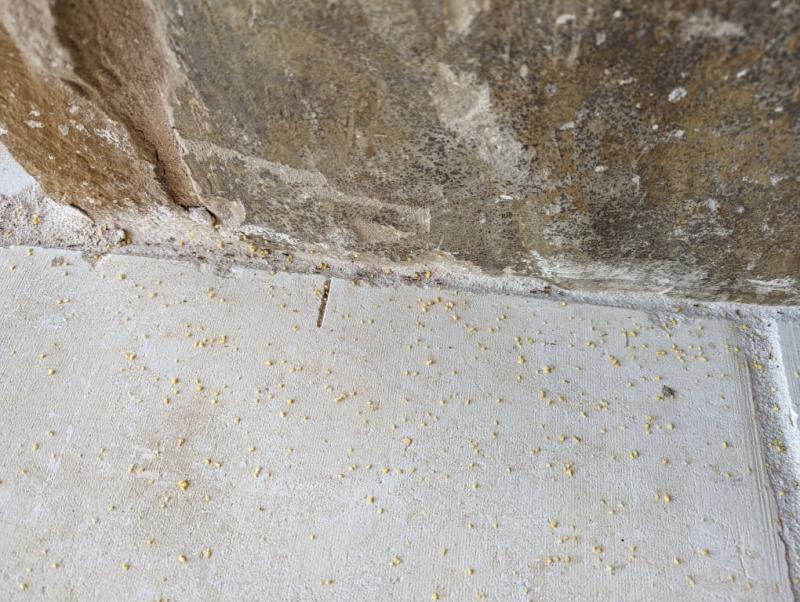 trail after 24 hrs - no change