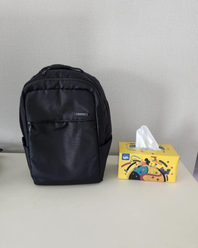 best backpack for frequent flyers with 13.3 inch laptop Best Laptop Backpack