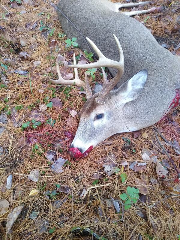 He never knew I was there, 20 feet away.