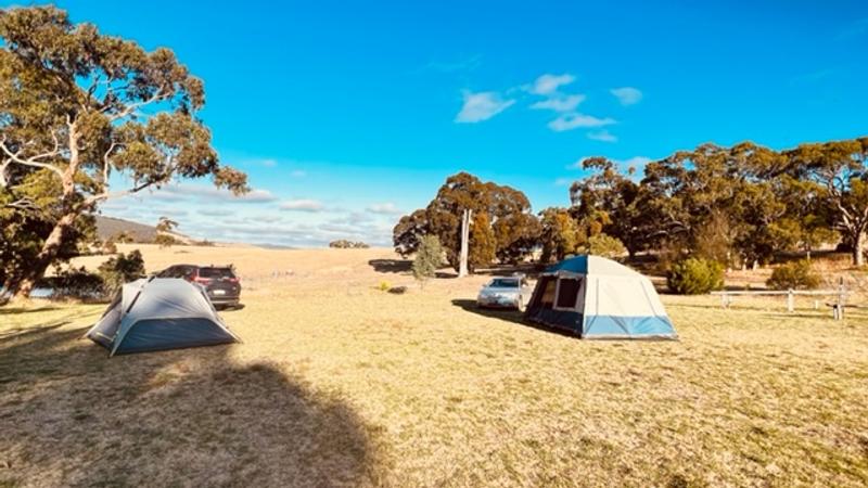 Oztrail Hightower Mansion 8p Tent