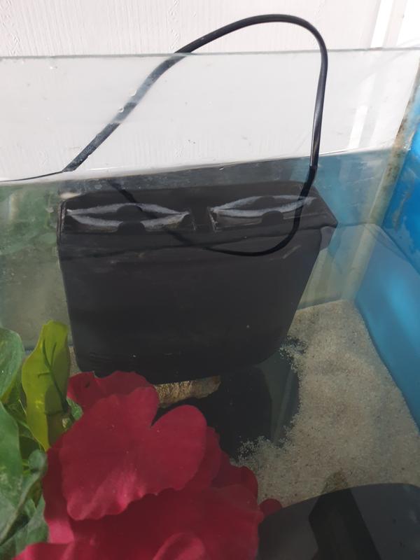 Fluval - Binnenfilter U1 200L/H voor aquaria <55L - (126.2465