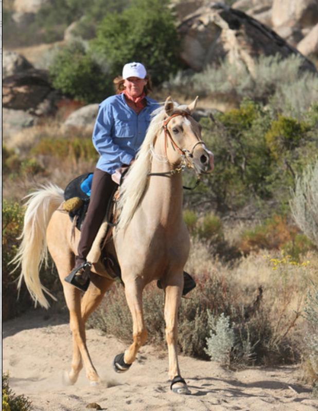 Endurance riding on my gelding Sayir.