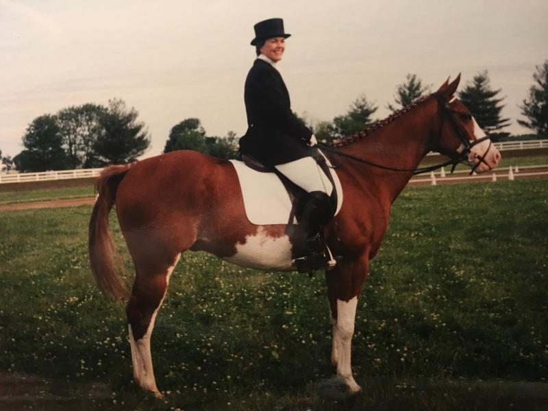 Purely Dangerous aka Rodney during his dressage career