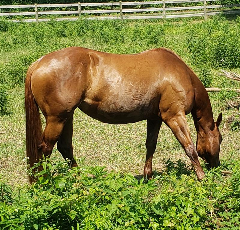 Enhances her natural shine