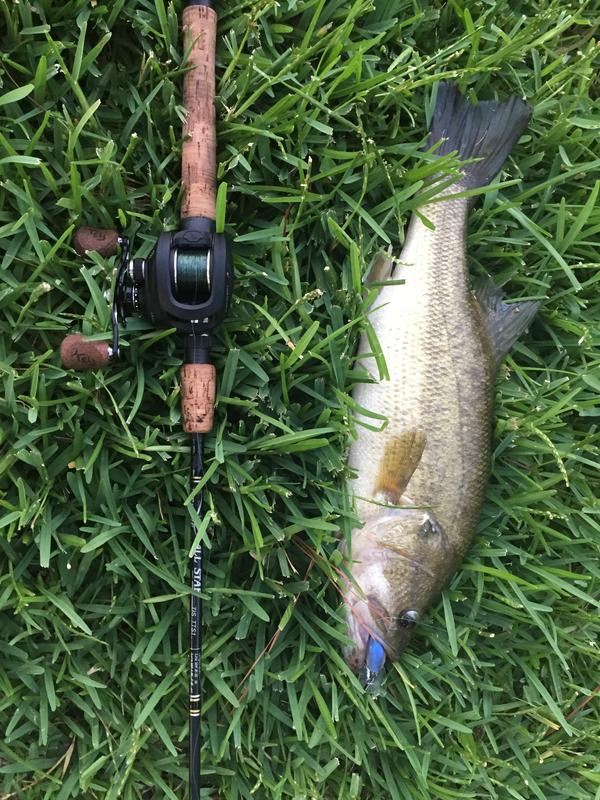 H2O Xpress Crankbait Shallow &ndash; Esca Affondante Positiva Con Sonaglio &ndash; Bass E Walleye (NUOVO)