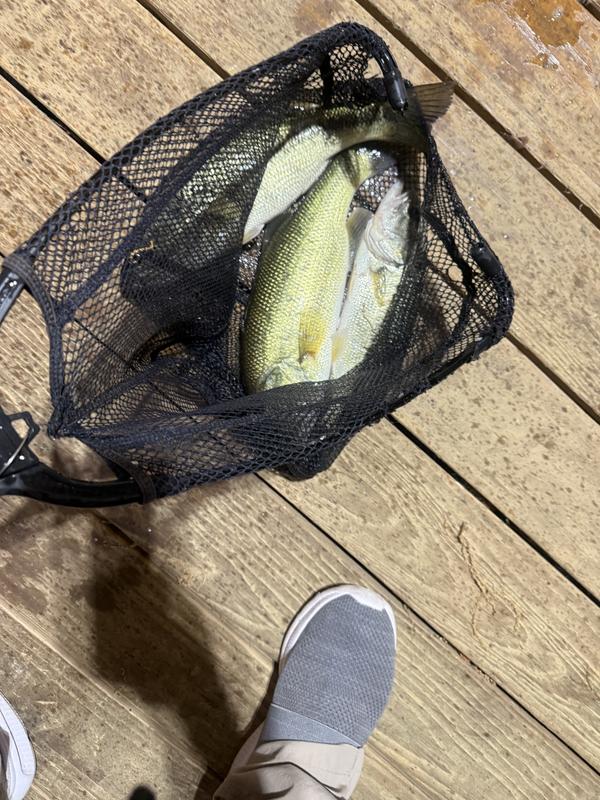River2Sea Whopper Plopper 110 Wobbler 28g Kunstköder Oberflächenköder Köder