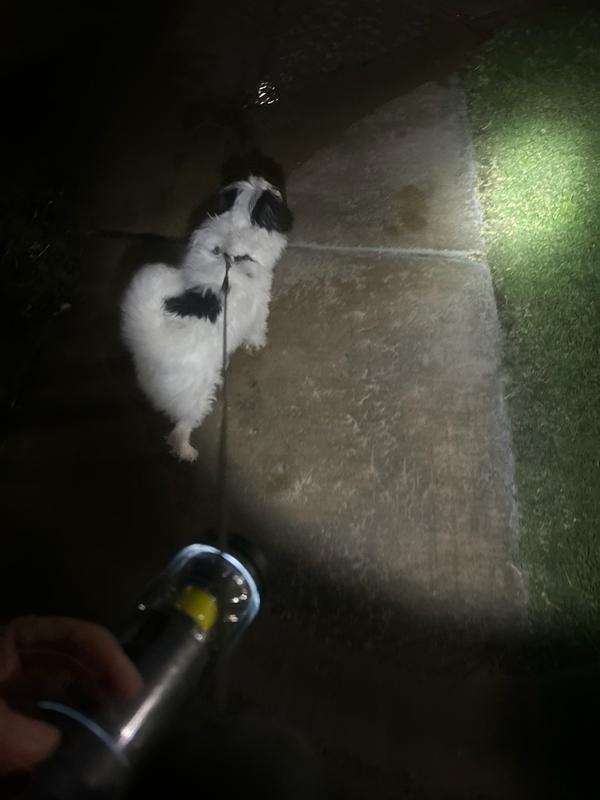 Photo submitted with review of product