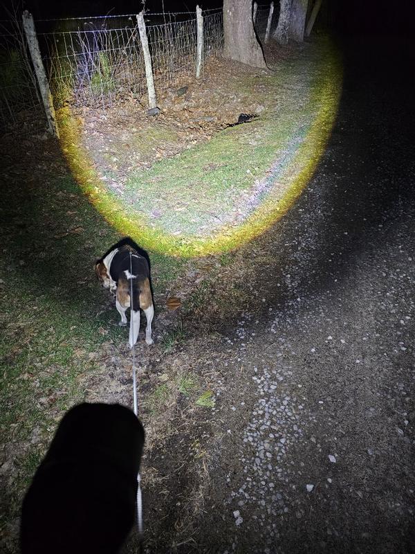 Photo submitted with review of product